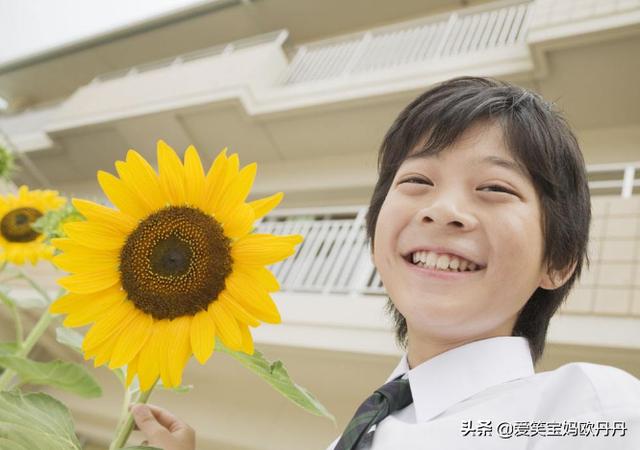 真正的数学启蒙不是教孩子从1数到10，而是掌握这4个有效方法