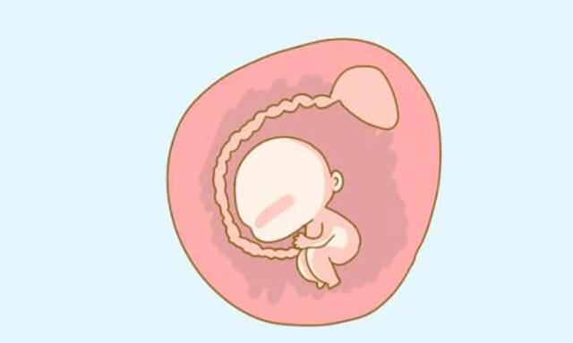胎儿每天在妈妈肚子里做什么？除了吃和睡，他们还做这些事！