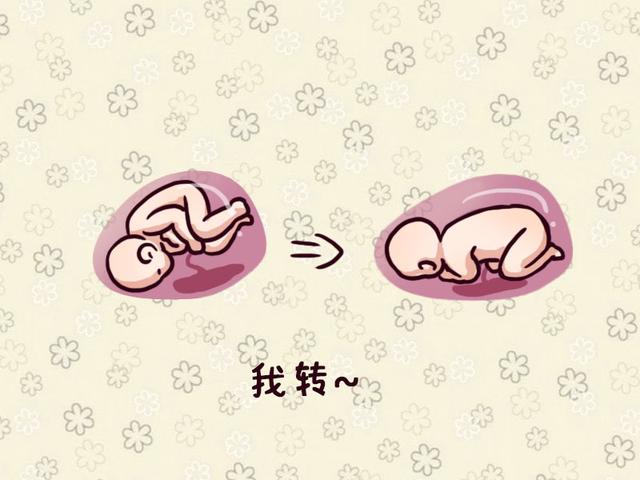 产妇分娩时胎儿在做什么？看到宝宝的行为后，妈妈感动流泪！
