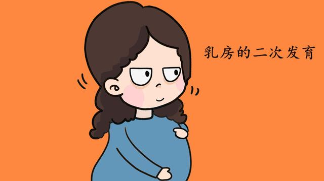 孕期身体的这些变化，会让准妈妈欣喜不已，看看你有吗？