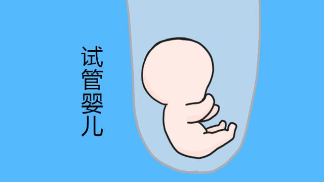 试管宝宝入园后没朋友，老师：“他们嫌孩子太金贵，太柔弱！”