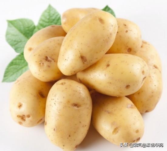 有助于孩子长大增高的十大蔬菜 什么蔬菜有助于长高