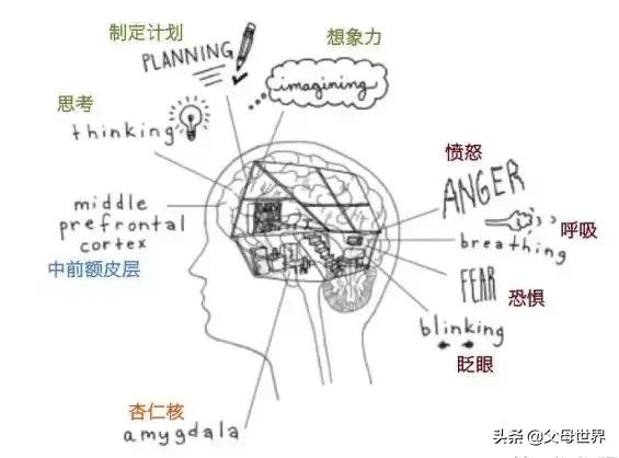 美国最新大脑研究：这3个“立规矩”的方法针对孩子犯错最有效！