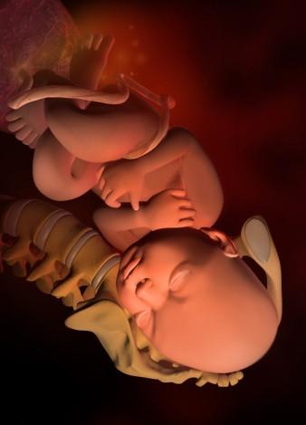 子宫里待满40周的宝宝，这些方面让很多妈妈羡慕，出生就高人一筹