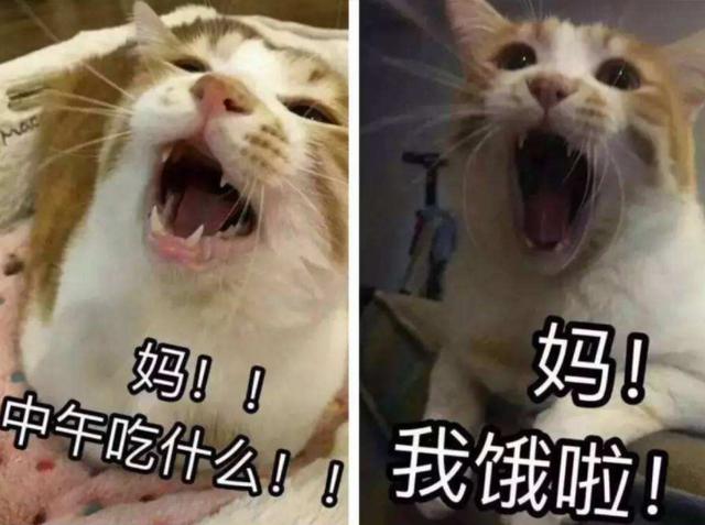 为什么孩子进门喊妈而不是爸？孩子是后两种喊法，家庭可能更幸福