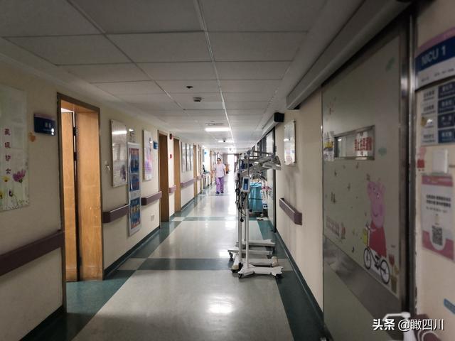 孩子出生130余天，爸妈从未抱过一下：每天只能隔着玻璃看