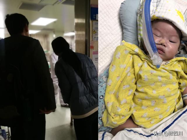 孩子出生130余天，爸妈从未抱过一下：每天只能隔着玻璃看
