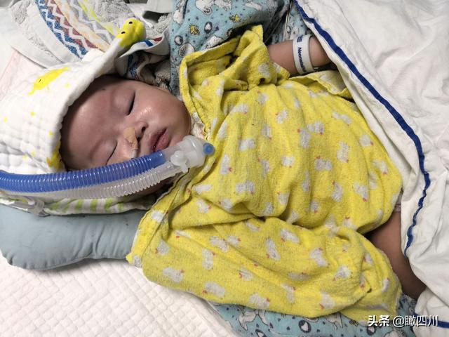 孩子出生130余天，爸妈从未抱过一下：每天只能隔着玻璃看