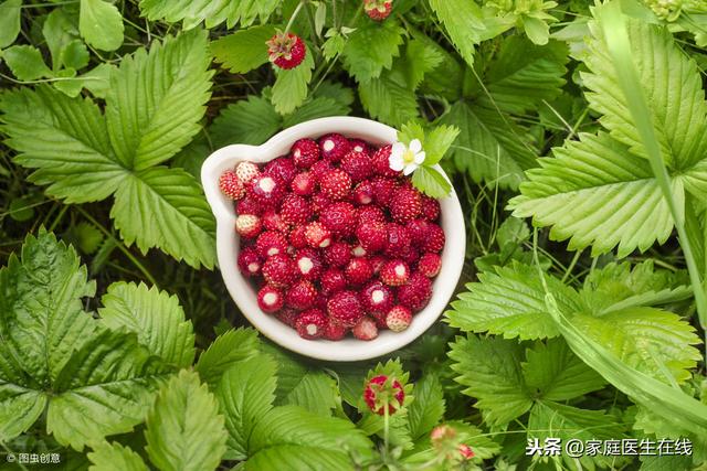 春暖花开的季节，医生提醒：带宝宝外出踏青要避开这些“坑”