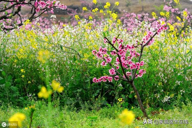 春暖花开的季节，医生提醒：带宝宝外出踏青要避开这些“坑”