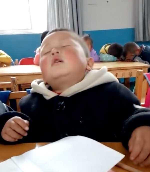 睡神附体！小男孩坐着睡觉走红网络 妈妈说是遗传