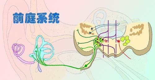 北大教授直言，让孩子坐摇摇车居然有这么多好处