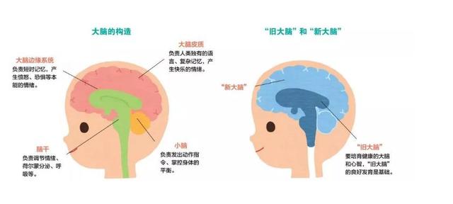 福利来袭！免费领 0~6 岁宝宝家庭早教课！