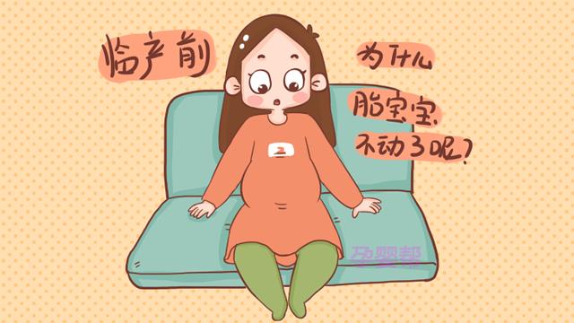 孕期最后一个月，胎儿胎动会有这3个特点，准妈大可不必担心