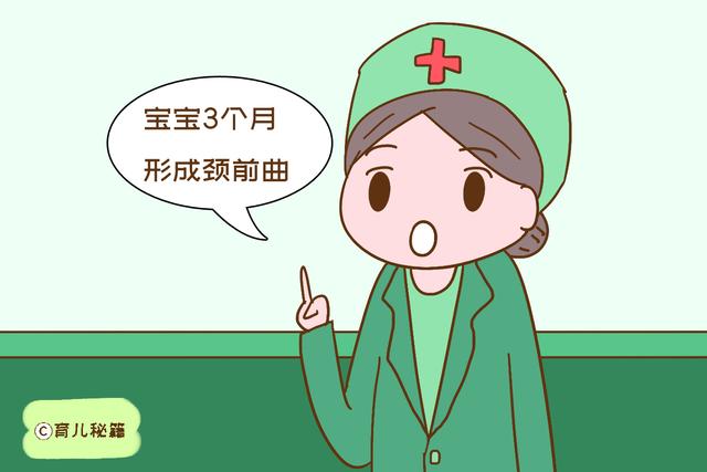 宝宝没到这个月龄，家长最好别竖抱，伤脊柱还影响发育