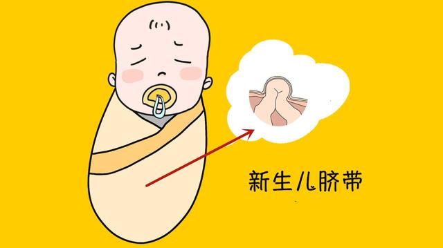 新生儿脐带全流程护理，这3个细节易被忽视，宝妈需要格外留意！