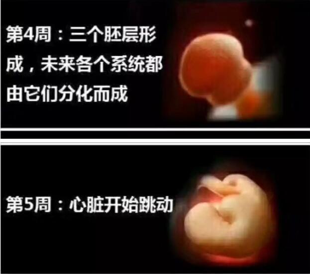 养出聪明宝宝从孕期开始，详解40周宝宝在子宫里发生的神奇变化