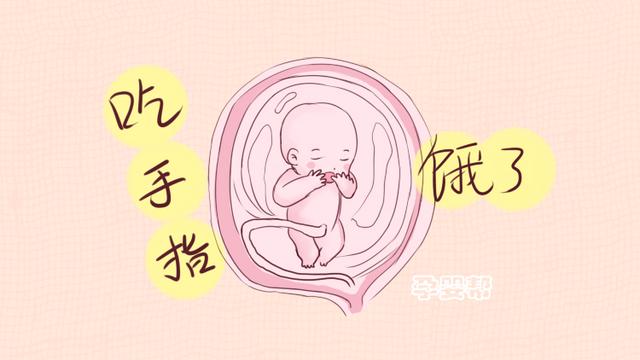 为什么早上胎动频繁？原来是胎儿有这个需求了，孕妈要多关注哦