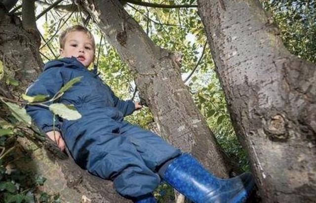 英户外幼儿园让孩子回归大自然接受挑战