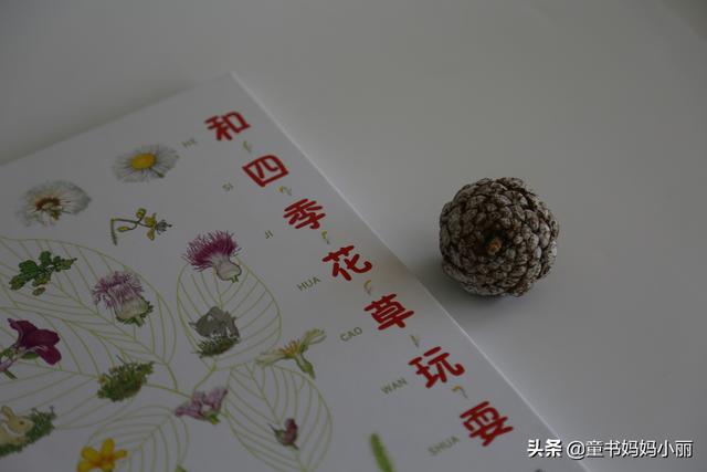 去阅读身边的花草，和孩子做一件春天里最诱人的事情