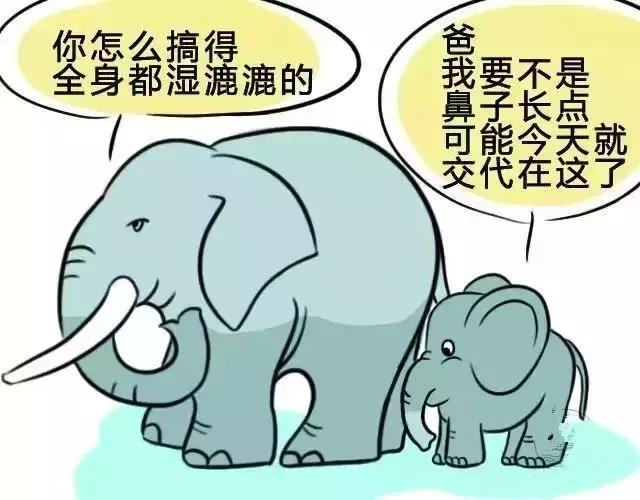 孩子犯错后，才是父母”好好说话“的时候