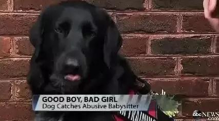 1岁孩子被保姆虐待数月被揭穿，夫妻泪奔感谢唯一的目击者……