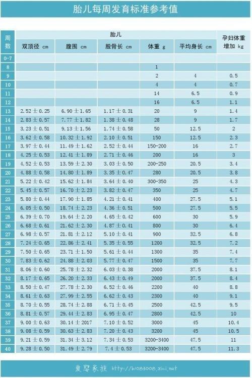 怀孕25周的胎儿是什么样子？附：胎儿每周发育标准参考表