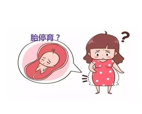 为什么越来越多的女性胎停育？这点原因跟男人脱不开关系！