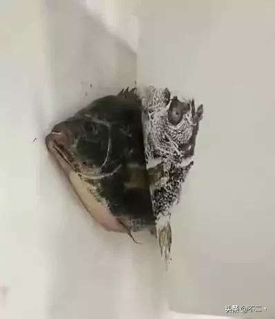 老师布置作业画一条鱼，爷爷这么做，网友：姜还是老的辣