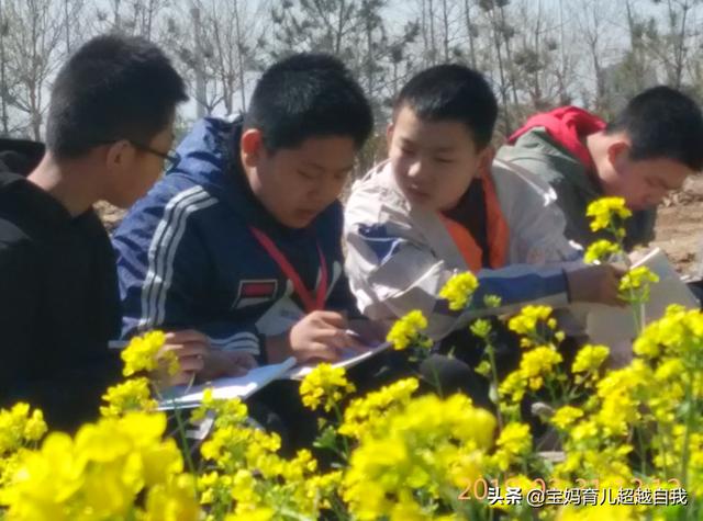 想让孩子享受快乐教育，必须先培养自主学习能力，不然越变越懒