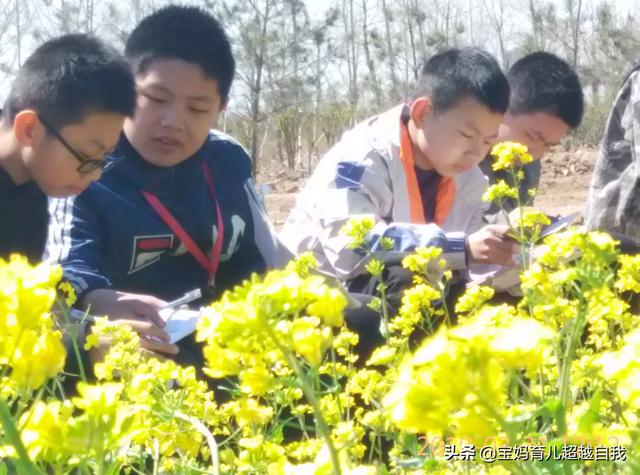 想让孩子享受快乐教育，必须先培养自主学习能力，不然越变越懒
