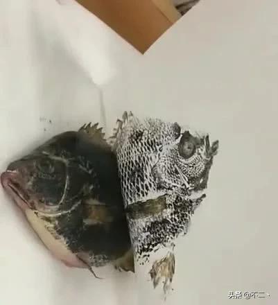 老师布置作业画一条鱼，爷爷这么做，网友：姜还是老的辣