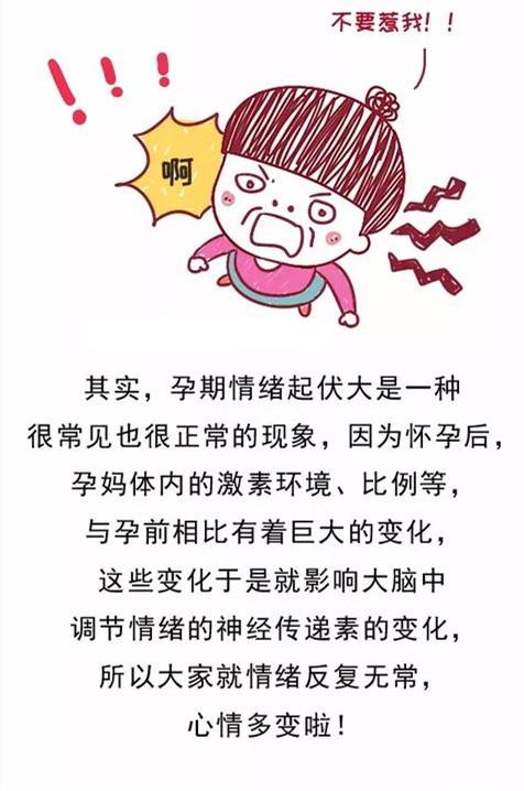 准爸妈吵架时，胎宝宝会有什么反应？看谁还敢惹我们孕妈生气！