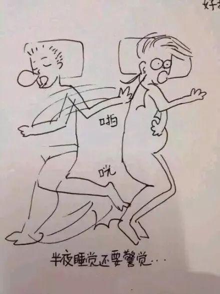 怀胎十月，胎宝宝和妈妈都经历了什么？