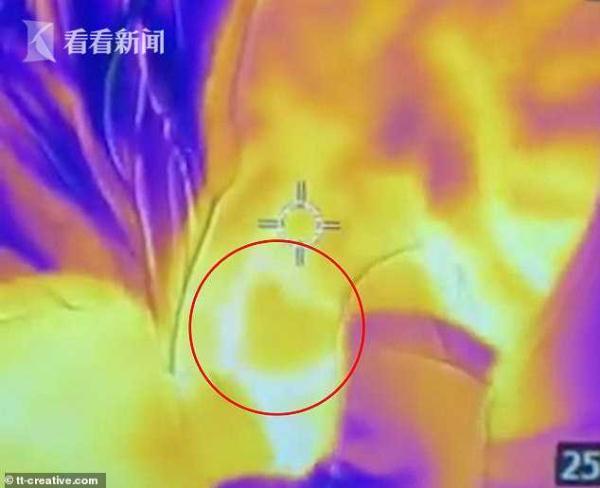 热成像仪拍摄妈妈给娃喂奶 乳房惊现“爱心”图案