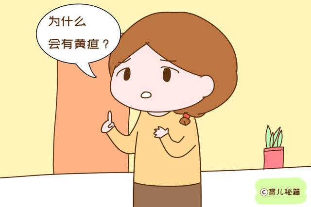 孕期吃一箱鹅蛋，宝宝出生还有黄疸，新生儿黄疸家长不得不知的事