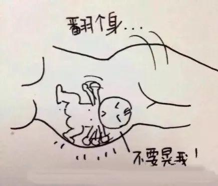 怀胎十月，胎宝宝和妈妈都经历了什么？