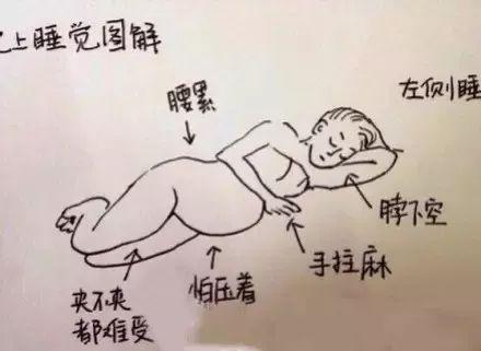 怀胎十月，胎宝宝和妈妈都经历了什么？