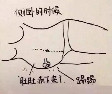 怀胎十月，胎宝宝和妈妈都经历了什么？