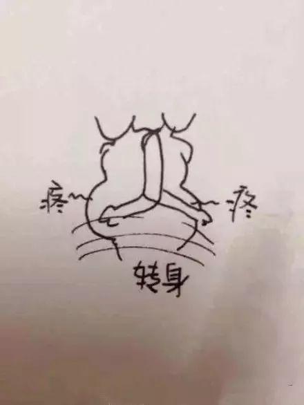 怀胎十月，胎宝宝和妈妈都经历了什么？