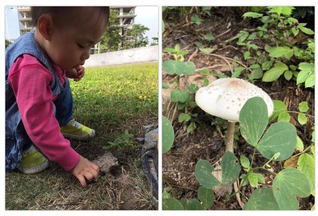 3岁前，孩子的早教可以这么做，还不用花钱
