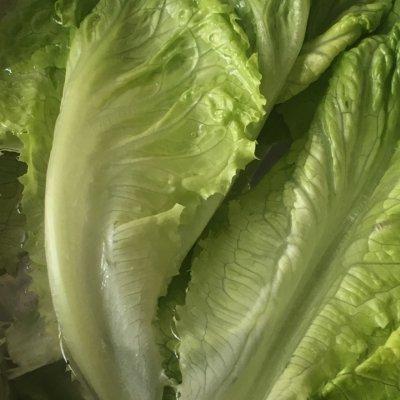 蔬菜水果沙拉