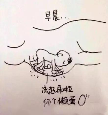 怀胎十月，胎宝宝和妈妈都经历了什么？