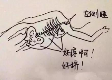 怀胎十月，胎宝宝和妈妈都经历了什么？