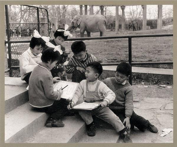 寻人启事！70岁中福会幼儿园正在寻找当年的孩子们！
