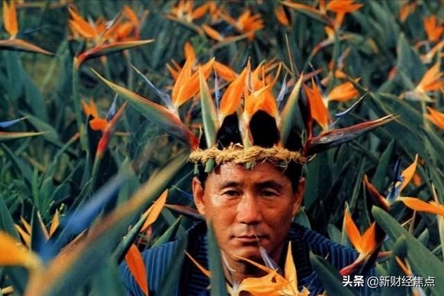 为什么用“弑母”这么凶暴的措辞