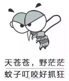 关于防蚊小妙招你真的get到了吗？
