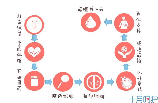 试管的和普通婴儿有什么区别，智力、寿命、生育力？答案让人惊喜