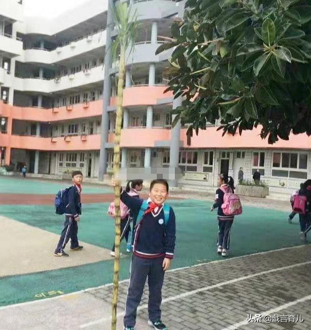 幼儿园老师让孩子带水果，家长给拿了一根甘蔗，老师看后无语了！