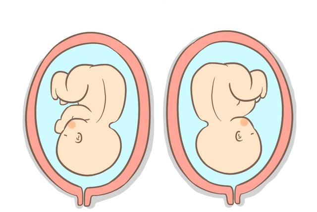 怀孕后，还在傻傻的控制自己的饮食吗？其实胎儿的大小由它们决定